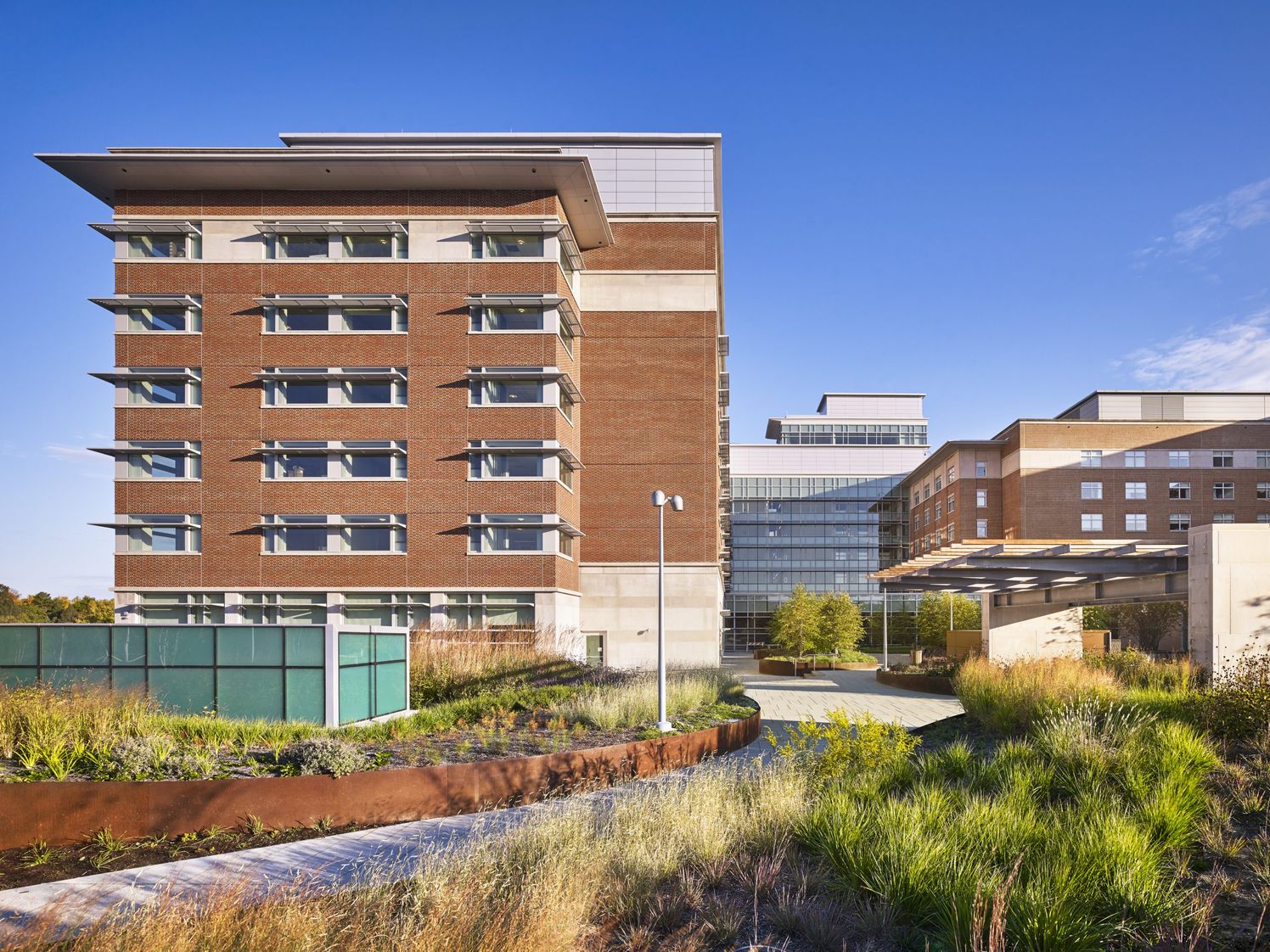 Daytime view of biophilic garden paths leading into patio area and central hospital complex