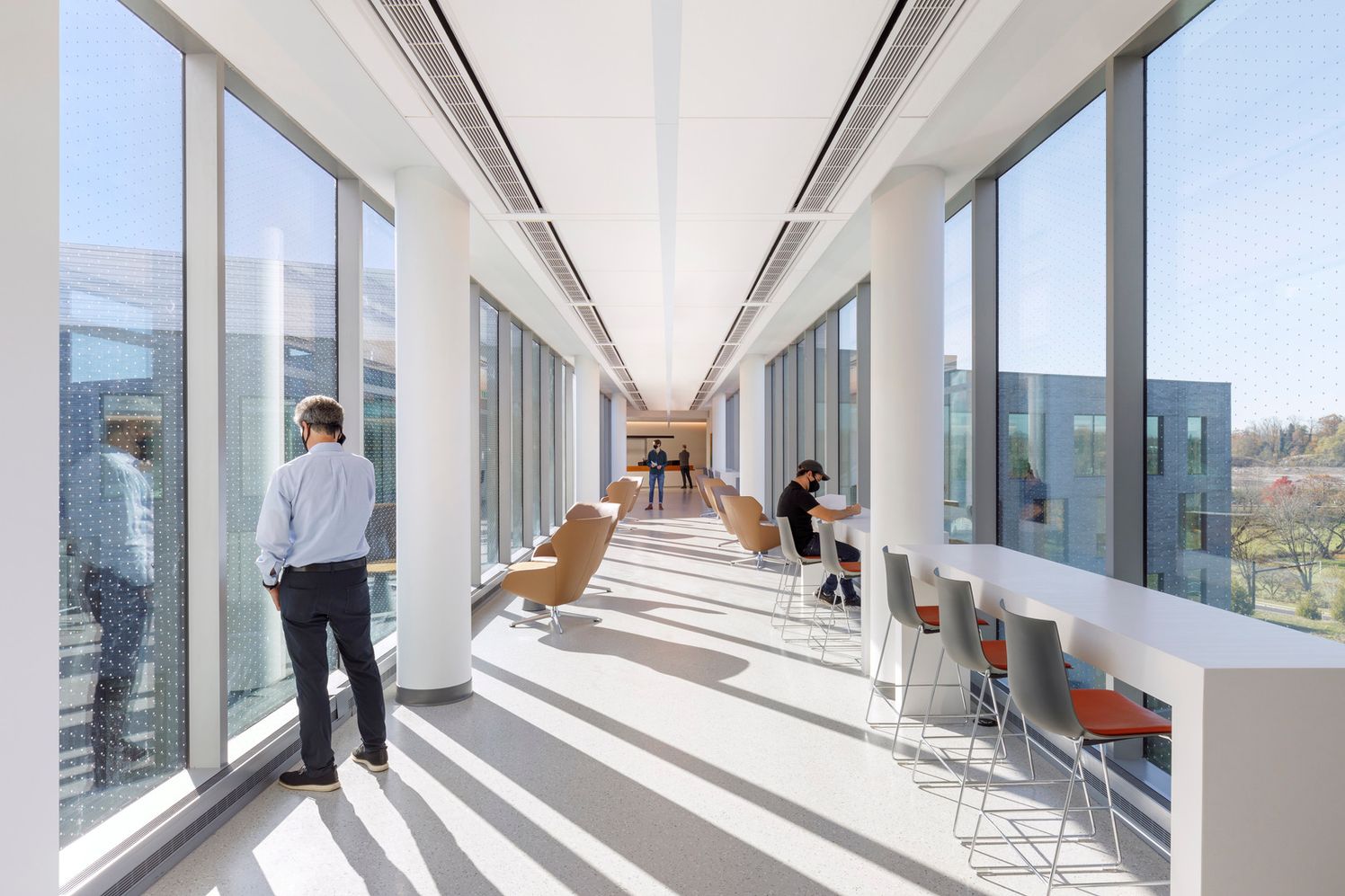 Hallway lounge with fritted glass to prevent birds from crashing into the windows