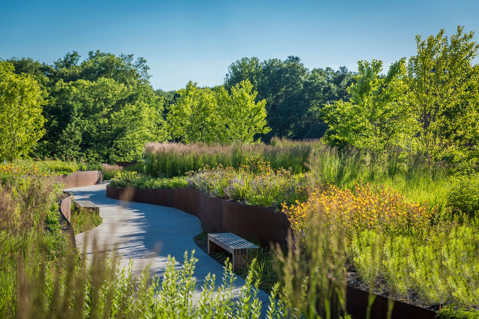 Outdoor garden with public paths, seating, and biophilic natural landscaping