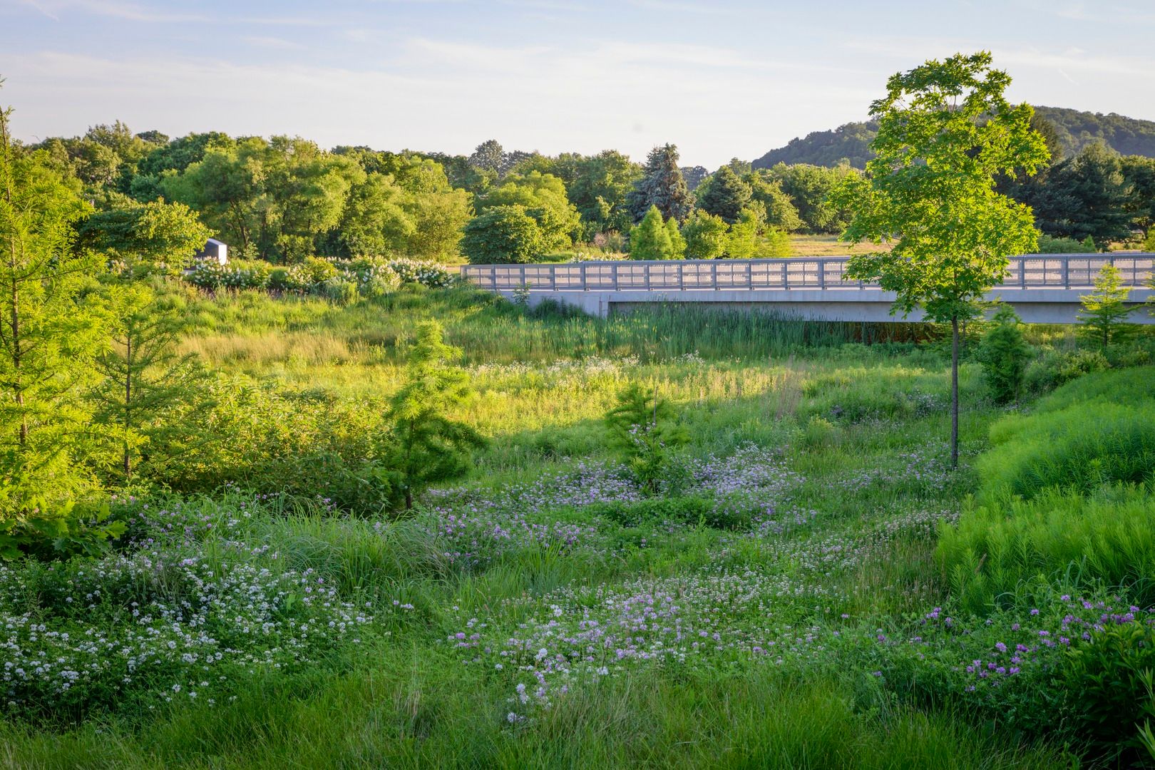 Landscape outside of Ann B Barshinger Cancer Institute