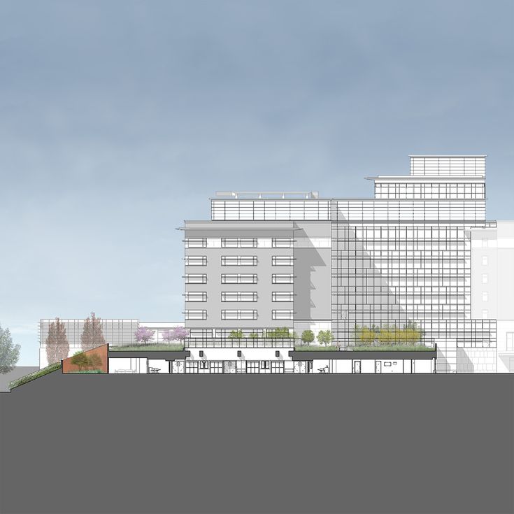Elevation cross-section of hospital with below-grade facilities and rooftop gardens and landscaping